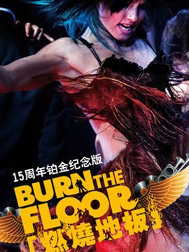 风靡全球的舞蹈巨作—《燃烧地板》15周年铂金纪念版20