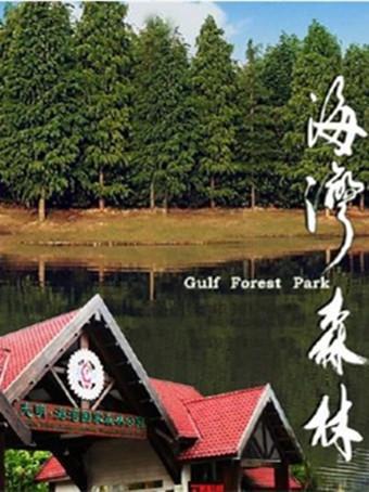 上海海湾国家森林公园