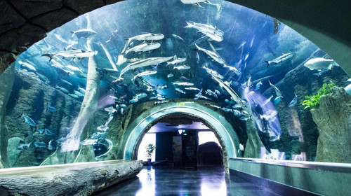 浩海立方海洋馆