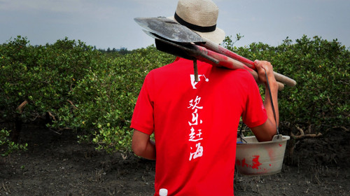 红树林欢乐赶海