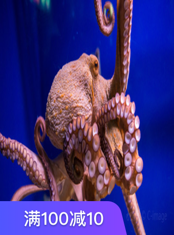 徐州水族展览馆