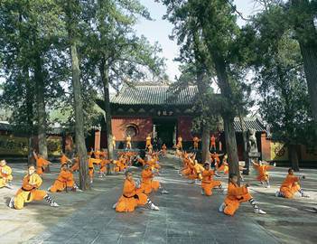 少林寺嵩杨往返索道票成人票(不含少林寺大门票)
