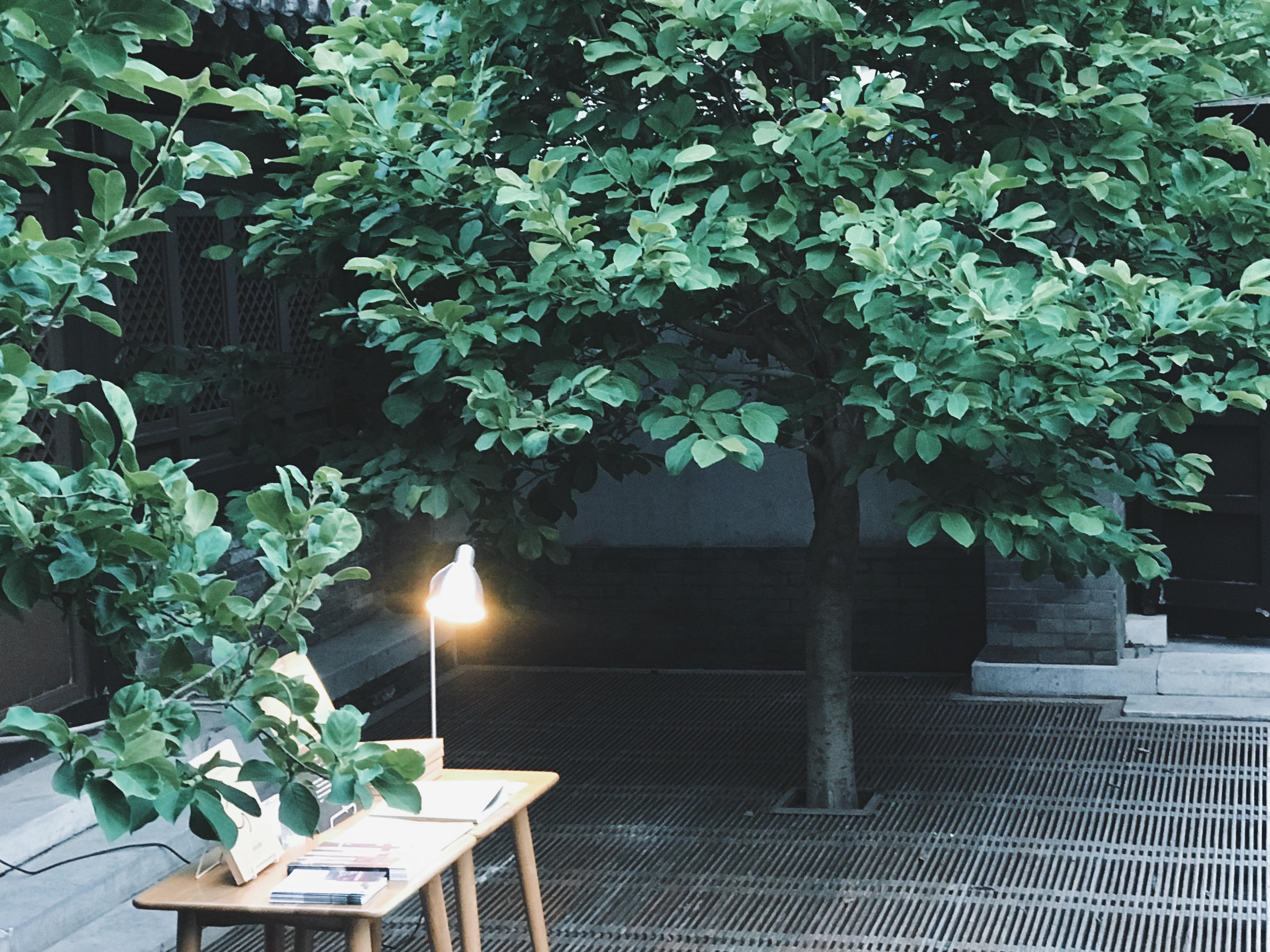 IMG_9251.JPG IMG_9251.JPG