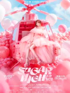 王心凌演唱会奥克兰站