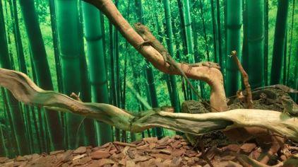 北海海底世界01