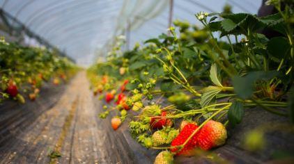 杭州海皇星生态乐园135704 (13)