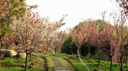 杭州海皇星生态乐园135704 (39)