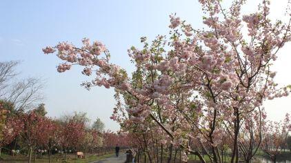 杭州海皇星生态乐园135704 (23)