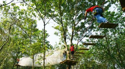 杭州海皇星生态乐园135704 (6)