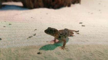 北海海底世界12