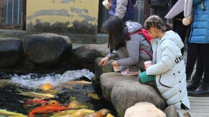 杭州海皇星生态乐园135704 (27)