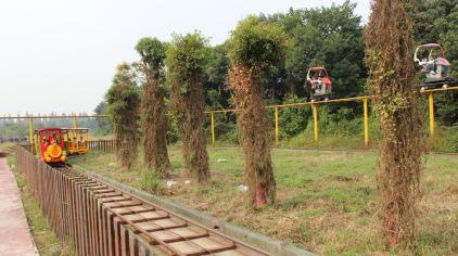 杭州海皇星生态乐园135704 (16)