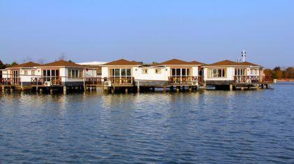 杭州海皇星生态乐园135704 (35)