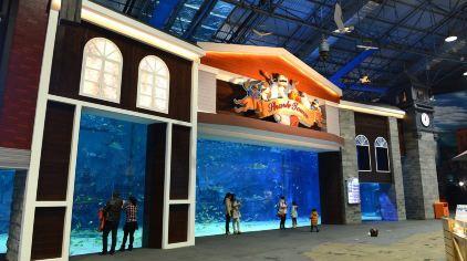 北京海洋馆——鲨鱼小镇