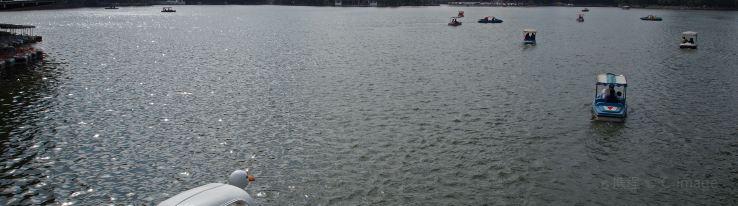 长风公园_湖面还挺大，原来有皮划艇训练的，这次没看到