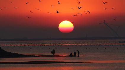 9 摄影:王立新.jpg