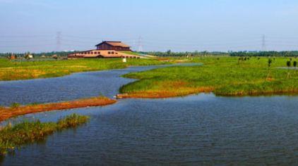 杭州湾湿地公园3.jpg