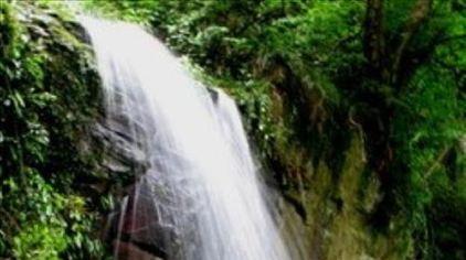 湖南岳阳五尖山森林公园3