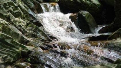 湖南岳阳五尖山森林公园13