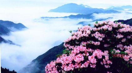 天台山华顶国家森林公园1.jpg