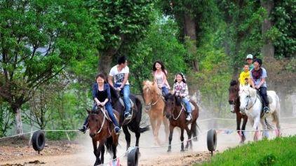 中南森林骑马