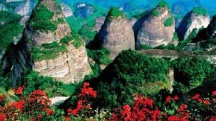 湖南岳阳五尖山森林公园5