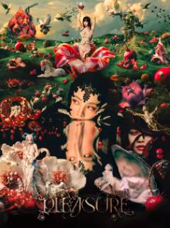 [补款链接]蔡依林巡回演唱会苏州站