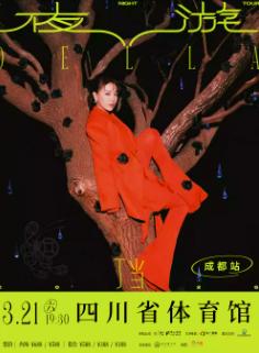 [超低价拼团]丁当巡演成都站