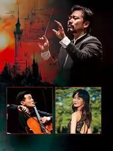 林大叶的音画交响 广州站