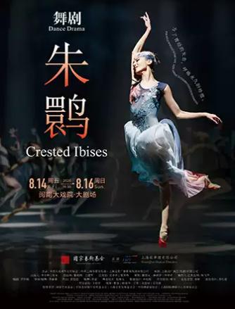 《朱鹮》 厦门站
