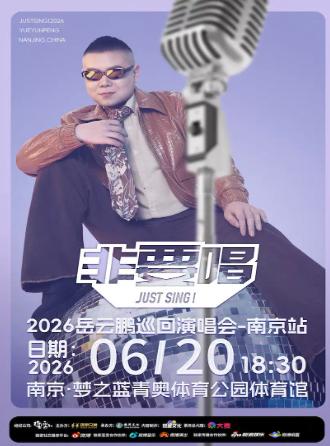 岳云鹏巡回演唱会南京站