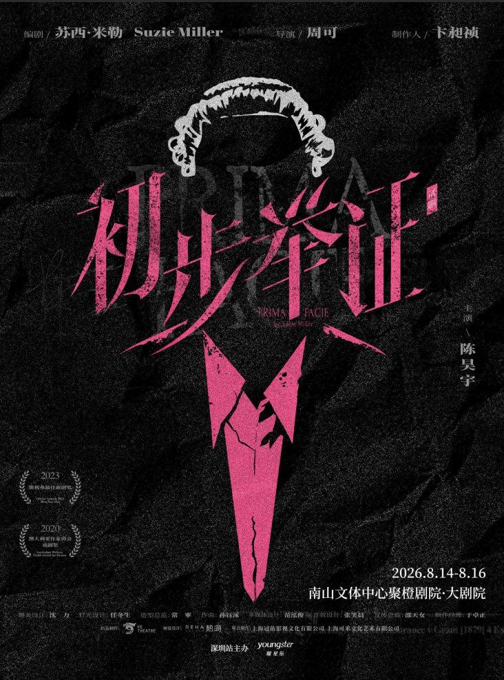 陈昊宇主演话剧《初步举证》