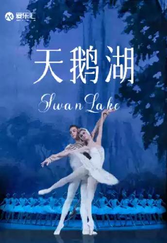 《天鹅湖》成都站