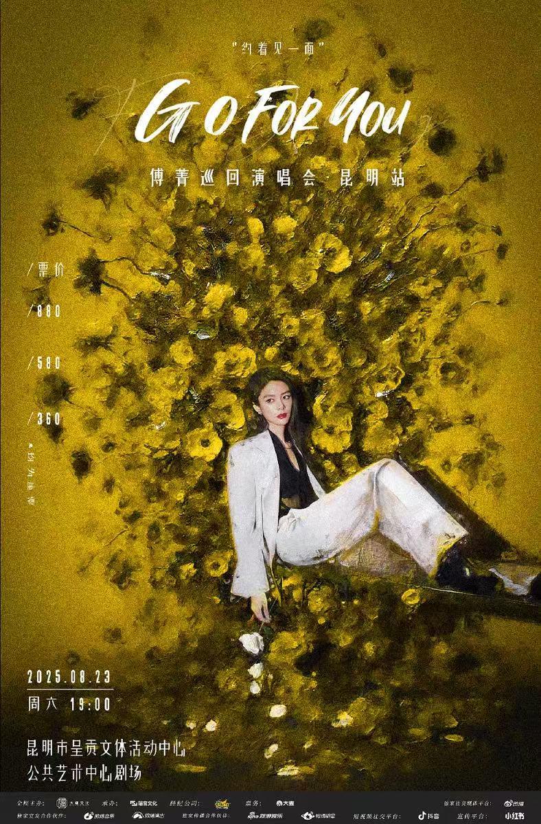 [条件退]傅菁演唱会昆明站