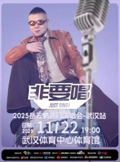 岳云鹏巡演武汉站