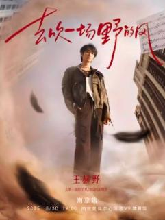 [强实名/条件退]王赫野演唱会南京站