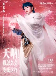 [强实名/条件退]周笔畅演唱会广州站