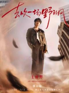 [强实名/条件退]王赫野演唱会佛山站