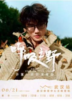 [条件退/端午特惠]许嵩演唱会武汉站