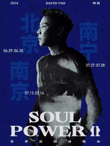 【南宁】【强实名代拍】 2024 陶喆 Soul Power II 世界巡回演唱会