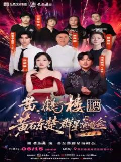 [强实名/条件退]东楚群星演唱会黄石站