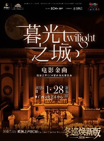 《暮光之城》电影金曲烛光音乐会 南宁站