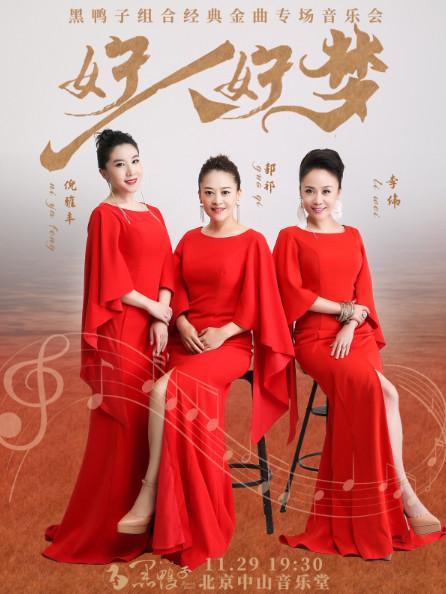 好人好梦&mdash;黑鸭子组合 2026 经典金曲专场音乐会北京站