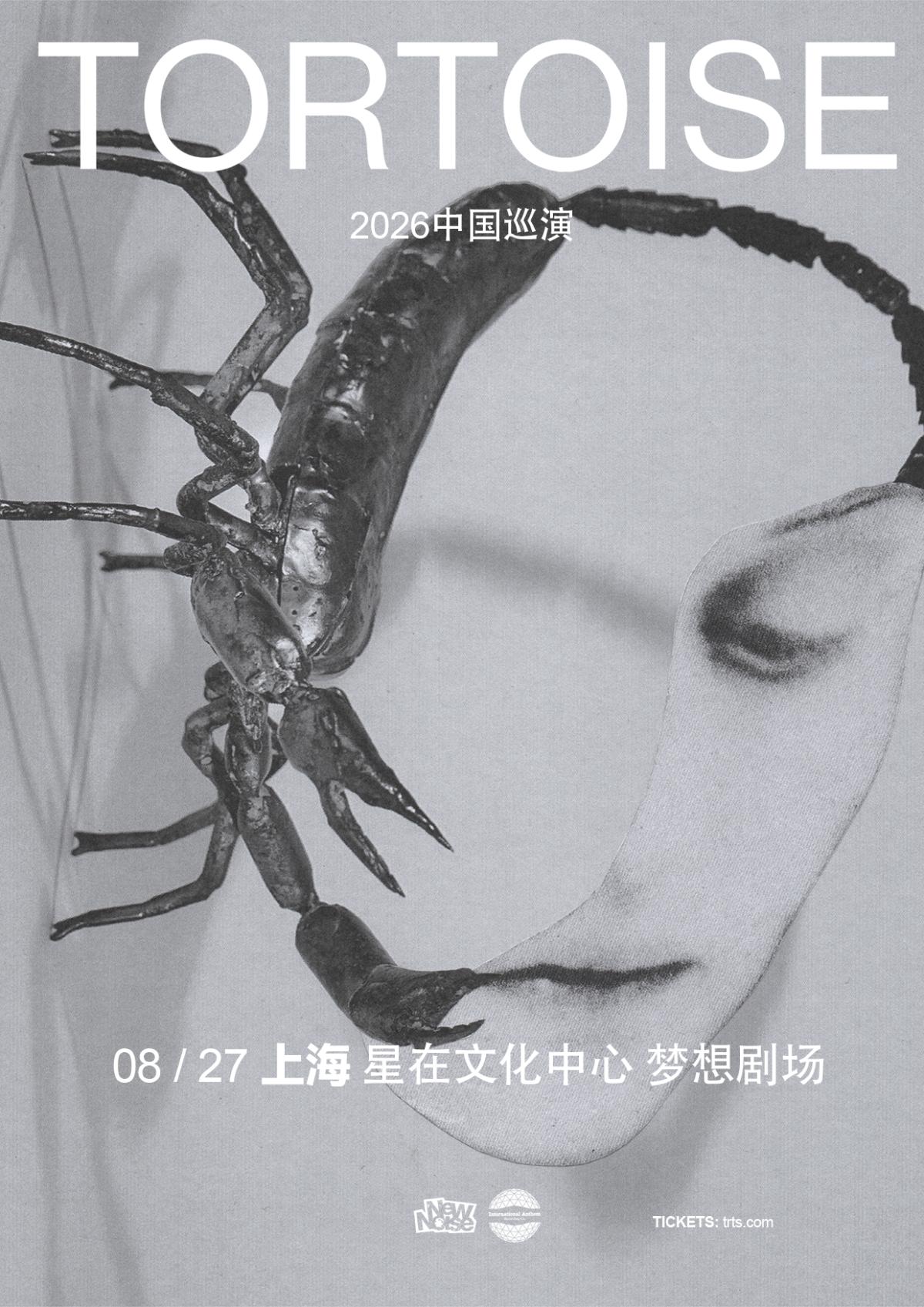 呈现 Tortoise 乌龟上海站