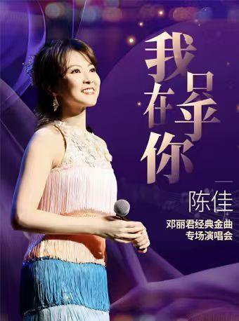 陈佳 2025 邓丽君经典金曲专场北京站
