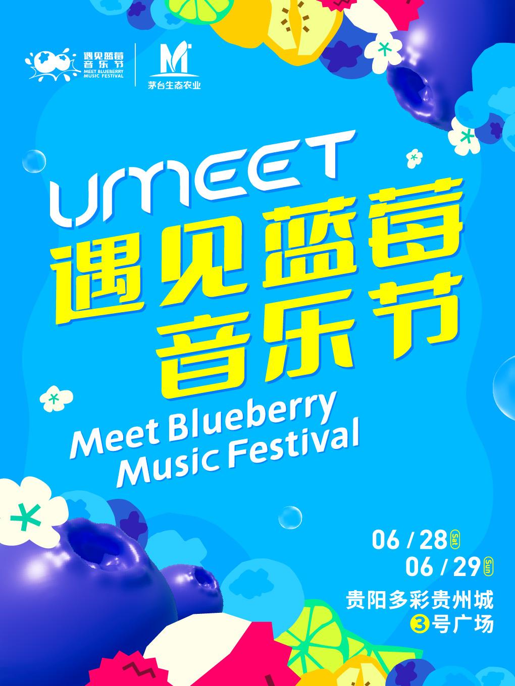 [强实名/条件退]遇见蓝莓音乐节贵阳站