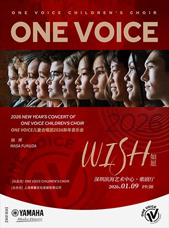 美国儿童合唱团音乐会 深圳站