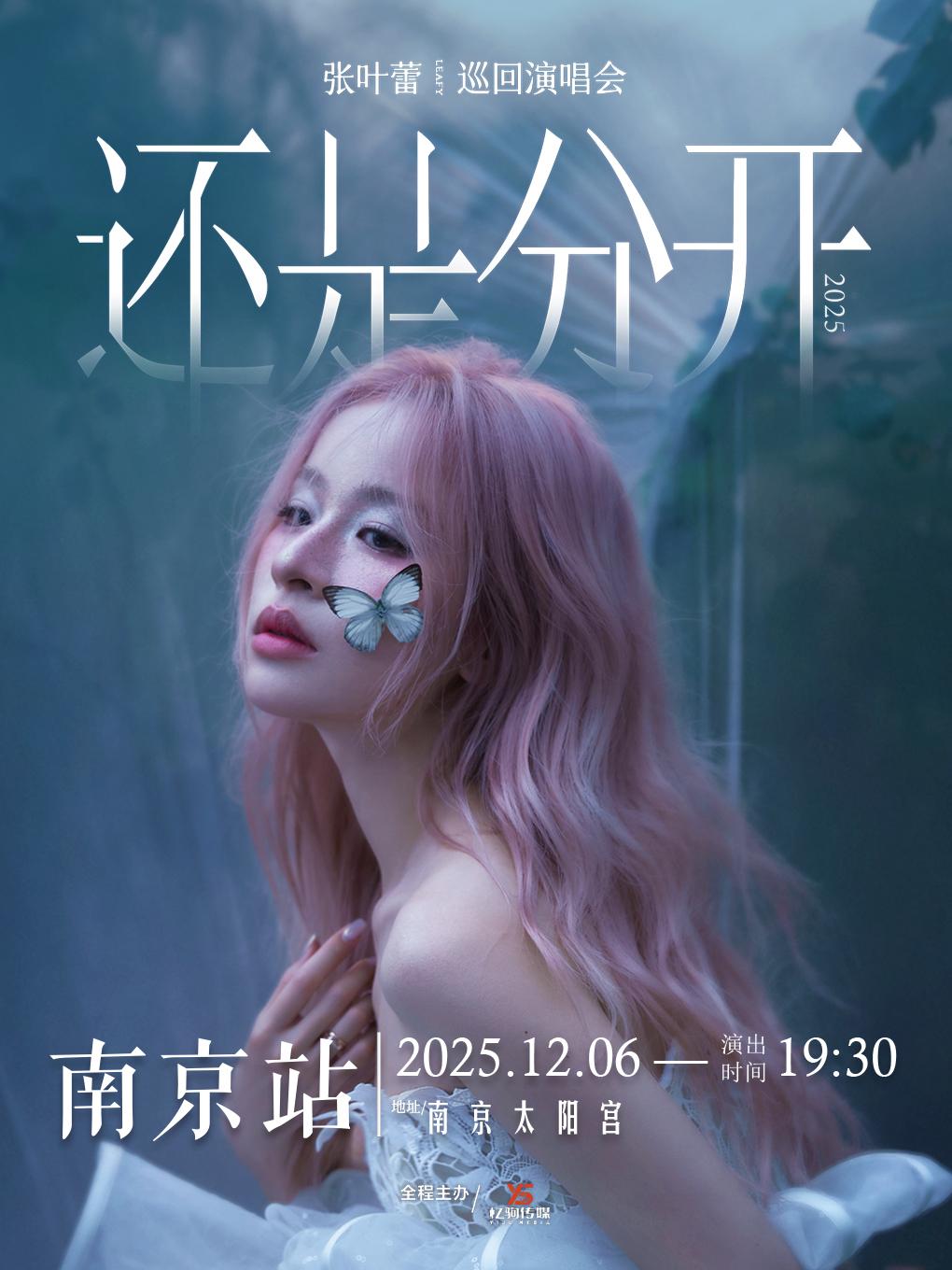 张叶蕾2025巡回演唱会南京站