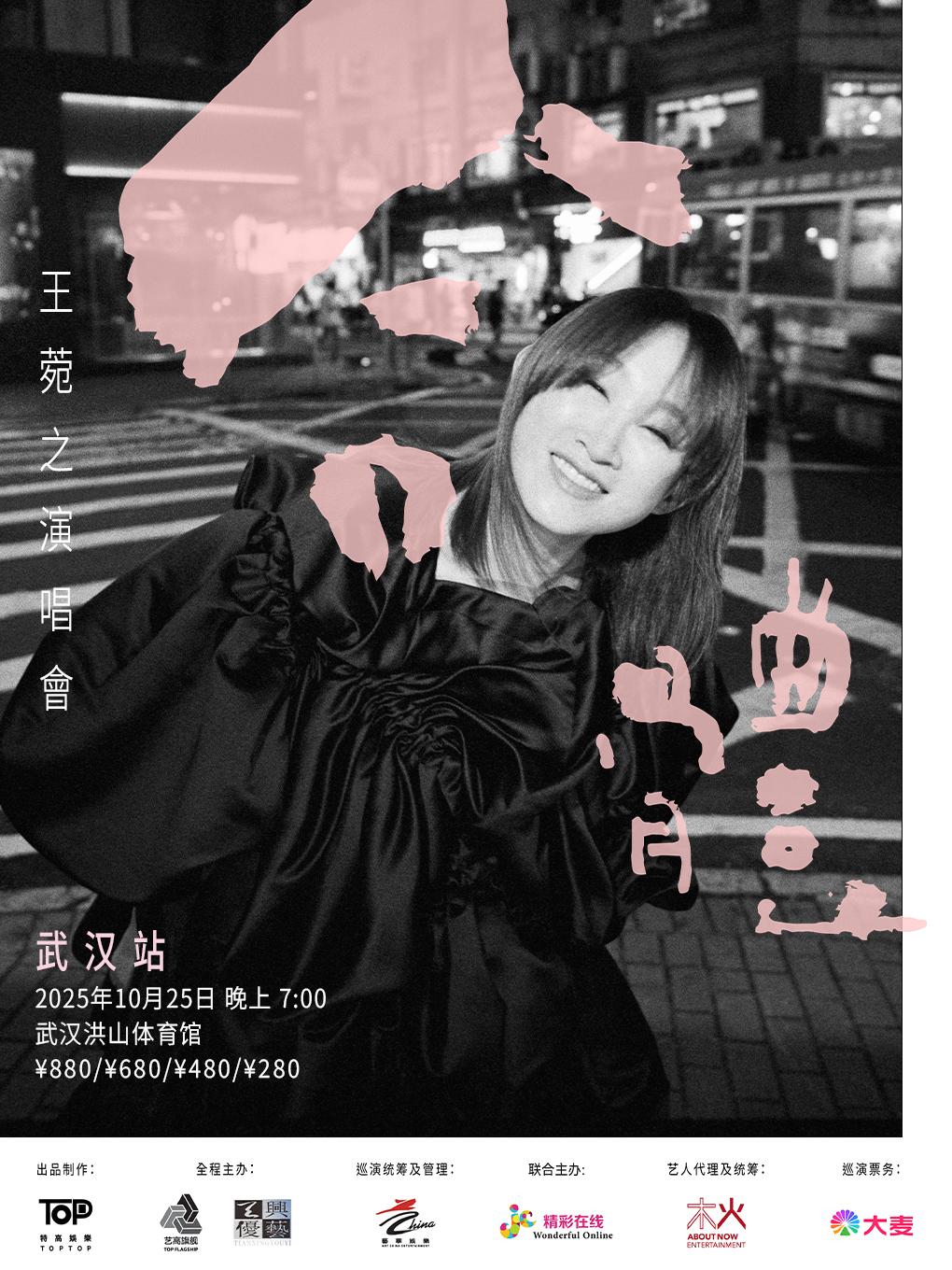 [强实名/条件退]王菀之演唱会武汉站