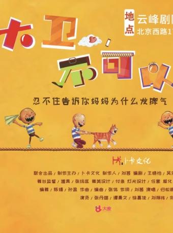 《大卫，不可以》上海站